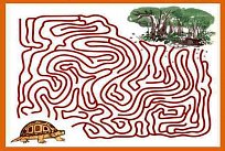 Labyrinty a bludiště