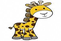 Žirafy