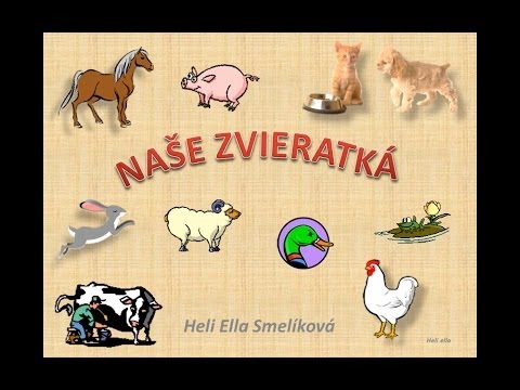 zviratka.jpg